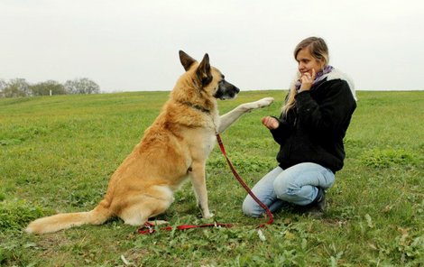 Žemla byl velmi nespolečenský, ale ošetřovatelka Týna z něj udělala mazlíka.