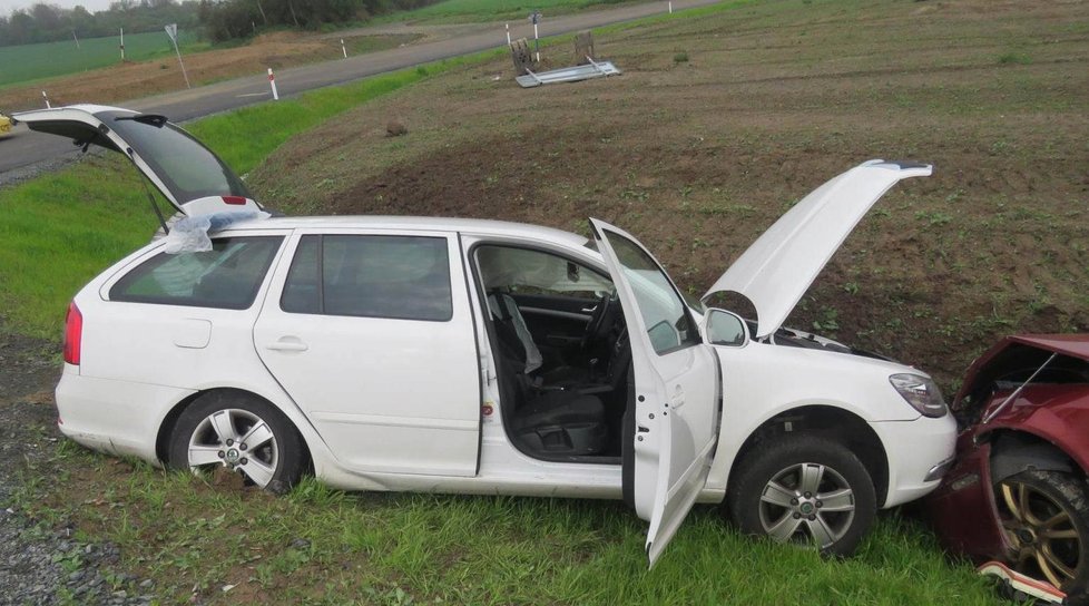 Řidičky bouraly cestou na krajskou psí výstavu ve Staňkově, jeden převážený pes nepřežil.