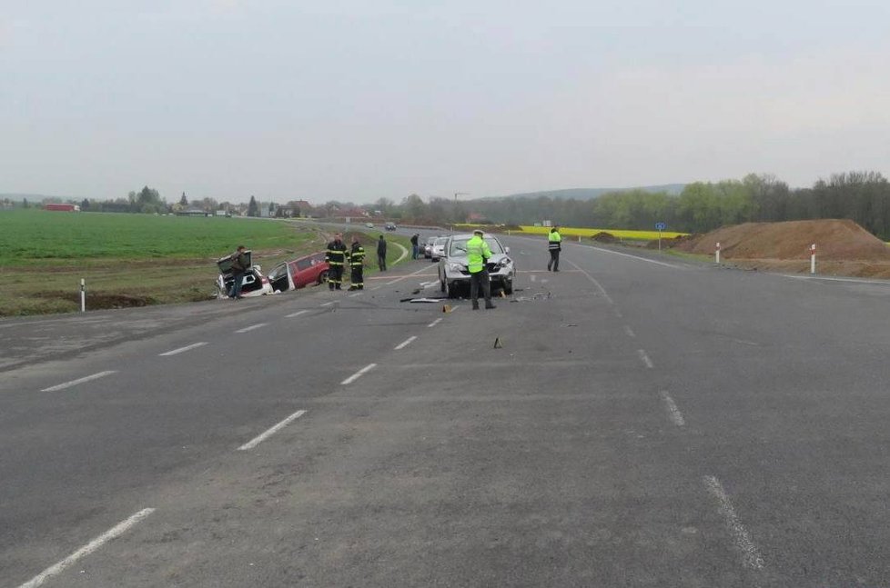 Řidičky bouraly cestou na krajskou psí výstavu ve Staňkově, jeden převážený pes nepřežil.