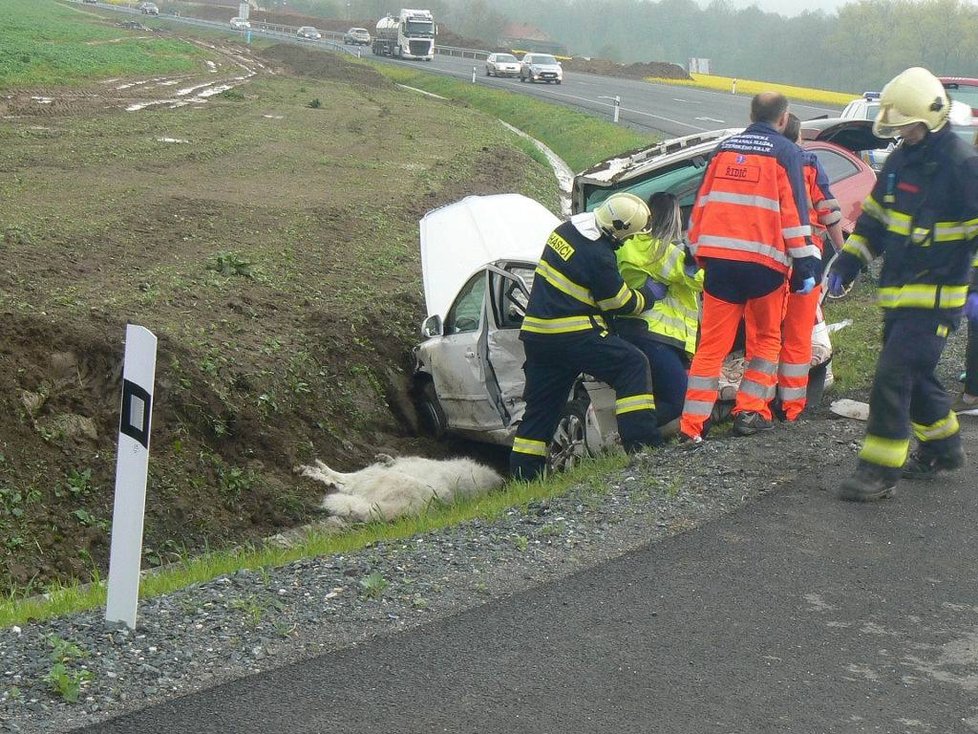 Řidičky bouraly cestou na krajskou psí výstavu ve Staňkově, jeden převážený pes nepřežil.