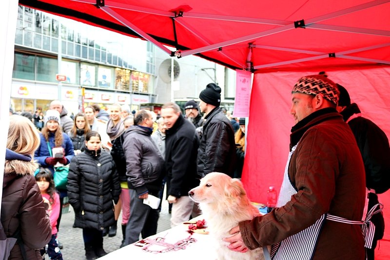 Vegani vykřikovali, že zabijí psa pro štědrovečerní tabuli.