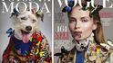 Psi jako modelky na titulních stranách prestižních módních časopisů