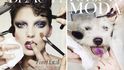Psi jako modelky na titulních stranách prestižních módních časopisů