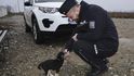 Čeští policisté zachránili štěňátka, která by jinak jsitě zemřela (nebo chcípla?) 