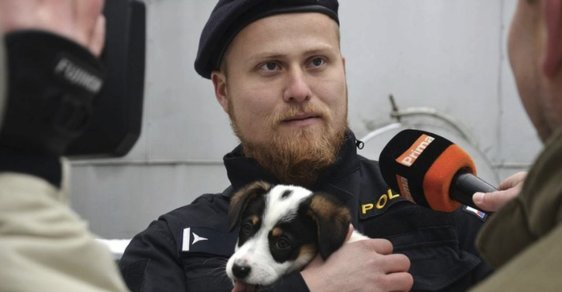 Čeští policisté zachránili štěňátka a nafotili s nimi boží snímky. Může být něco víc sexy?  