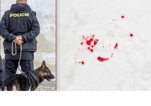 Pohřešovaného mladíka (†19) našel psovod v kaluži krve. (ilustrační snímek)