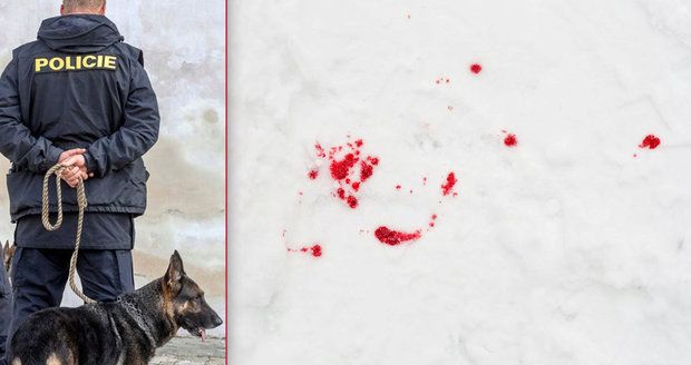 Pohřešovaného mladíka (†19) našel psovod v kaluži krve. (ilustrační snímek)