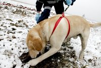 Žena strávila noc v mrazu: Zachránil ji policejní psovod až na Nový rok