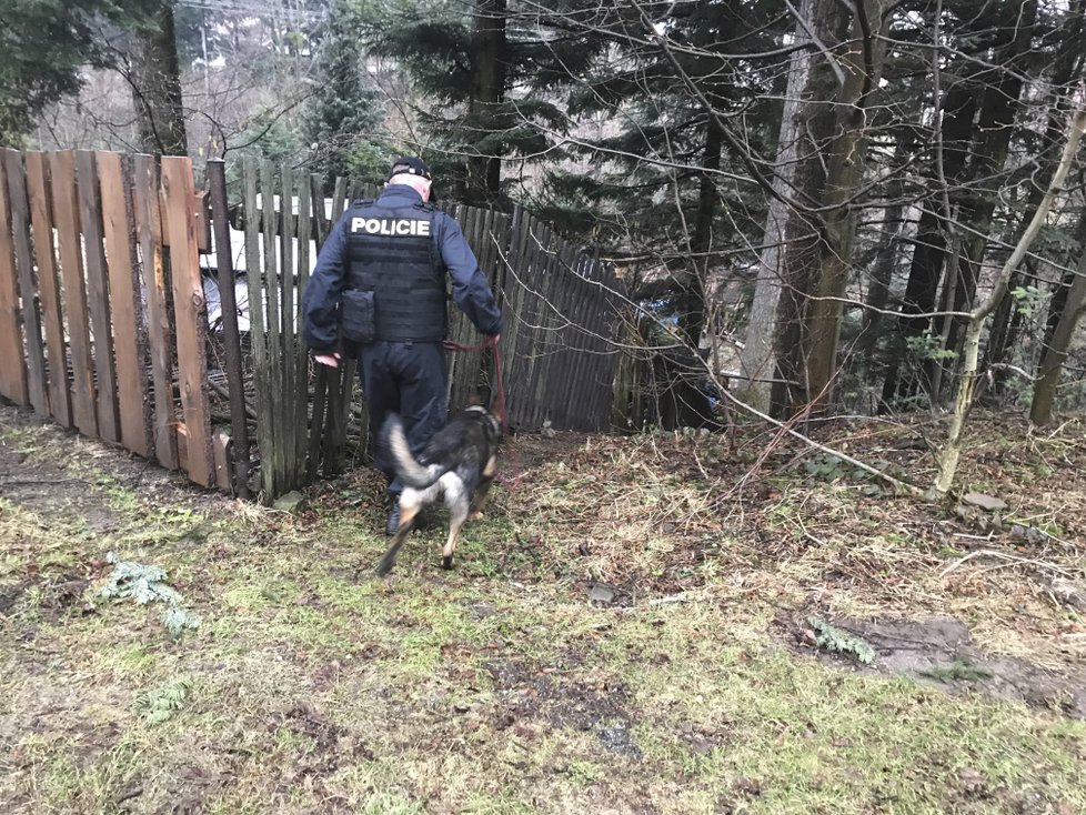 Na obhlídku chat v Trojanovicích na Novojíčínsku jsme se vydali s policisty psovody s jejich dvěma krásnými čtyřnohými kolegy.