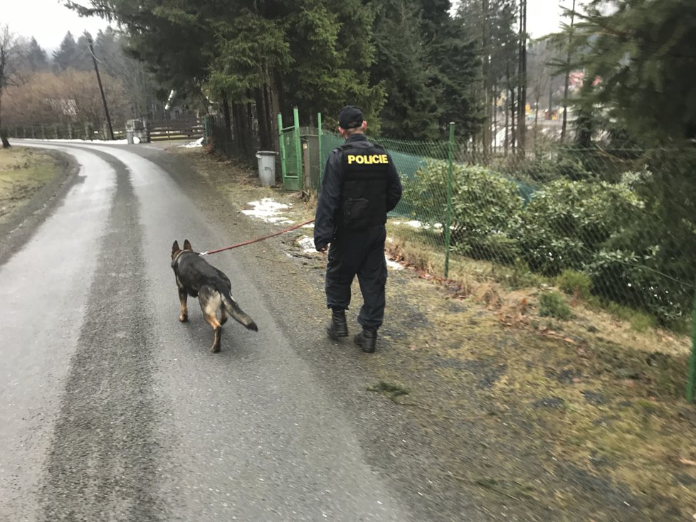 Na obhlídku chat v Trojanovicích na Novojíčínsku jsme se vydali s policisty psovody s jejich dvěma krásnými čtyřnohými kolegy.