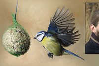 Zpěv ptáků a žádná vajíčka k snídani: Speciální vycházky do přírody začaly