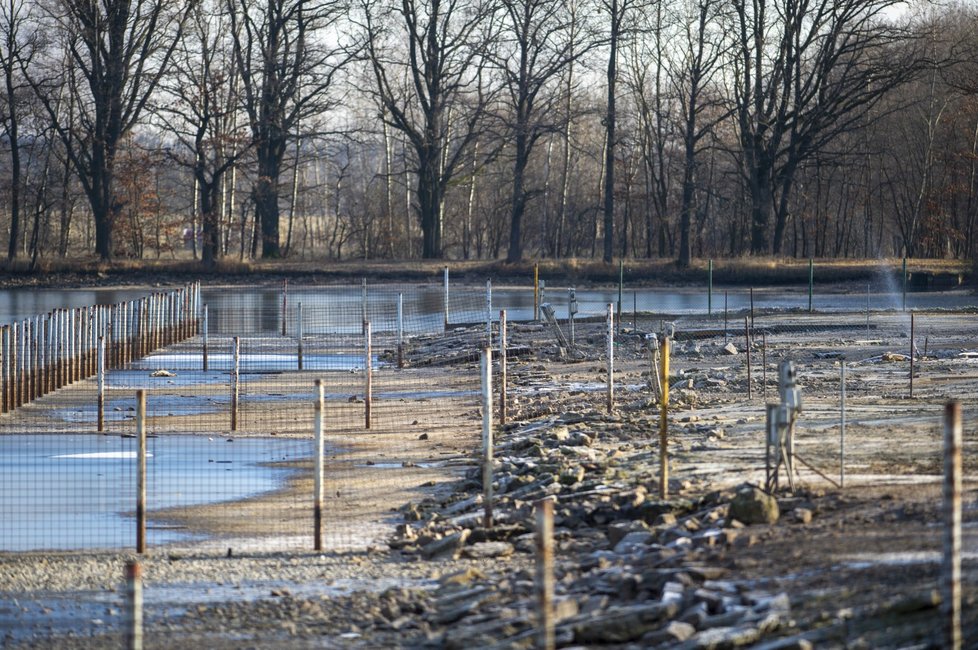 Veterináři začali u rybníka Velebil na Českobudějovicku likvidovat ptáky z několika hejn firmy Rybářství Nové Hrady, u nichž se prokázala ptačí chřipka.