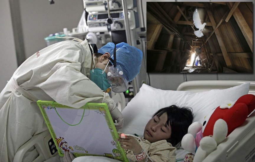 Na ptačí chřipku nyní zemřelo v Číně již 13 lidí.