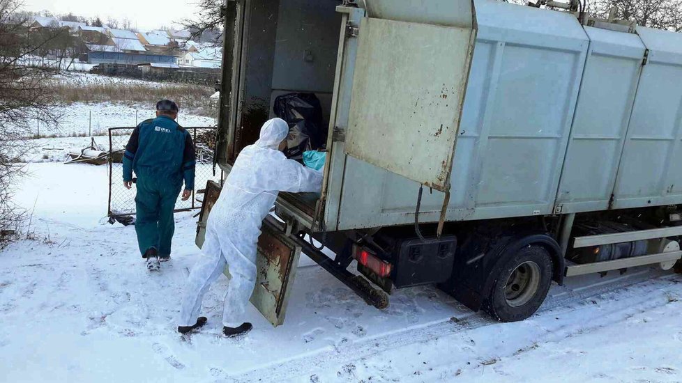 Odvoz usmrcených ptáků do kafilérie v Medlově