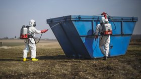 Utracení drůbeže infikované virem ptačí chřipky