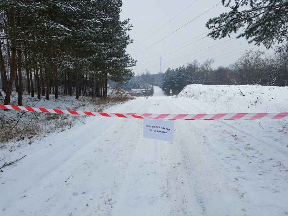 V Lázních Toušeň začalo zabíjení ptactva.