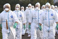 Hongkong oznámil úmrtí na ptačí chřipku