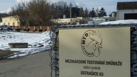 Areál státního podniku Mezinárodní testování drůbeže (MTD) v obci Ústrašice na Táborsku. Patří mezi velké chovy drůbeže, které veterináři prověří kvůli nálezu ptačí chřipky v nedaleké Dlouhé Lhotě (25. 1. 2021).