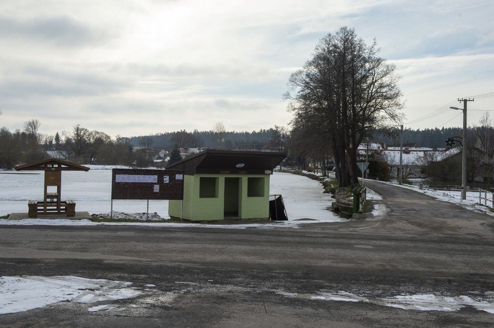 Pohled na obec Dlouhá Lhota na Táborsku, kde se v uplynulých dnech prokázal výskyt ptačí chřipky (25. 1. 2021)