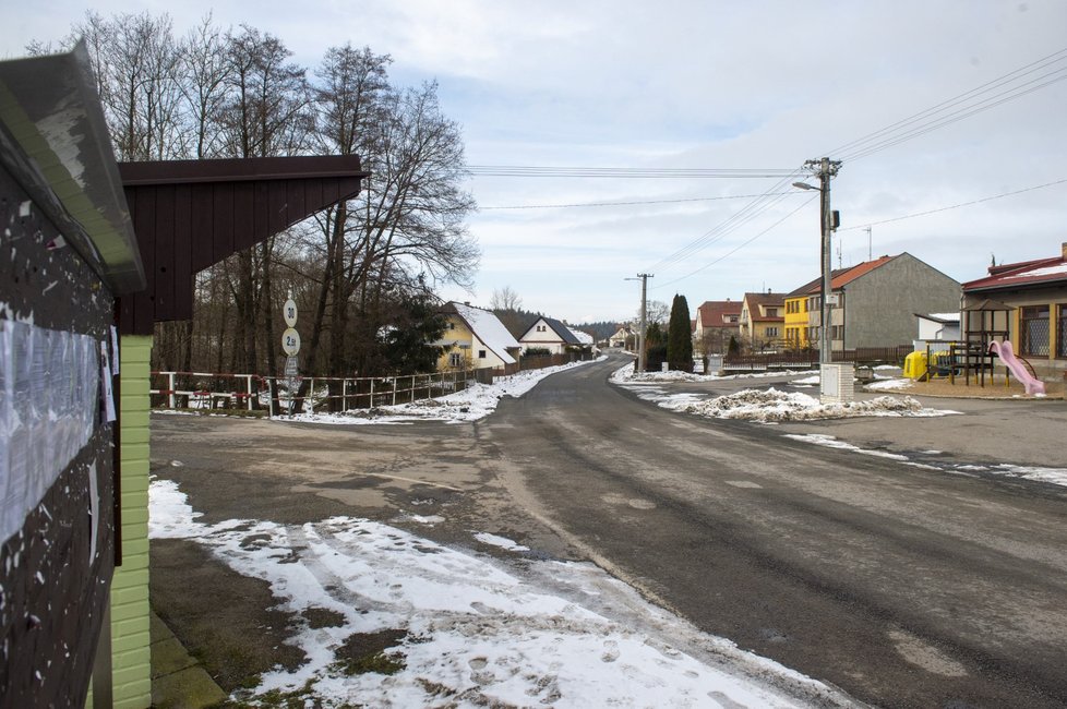 Pohled na obec Dlouhá Lhota na Táborsku, kde se v uplynulých dnech prokázal výskyt ptačí chřipky (25. 1. 2021)