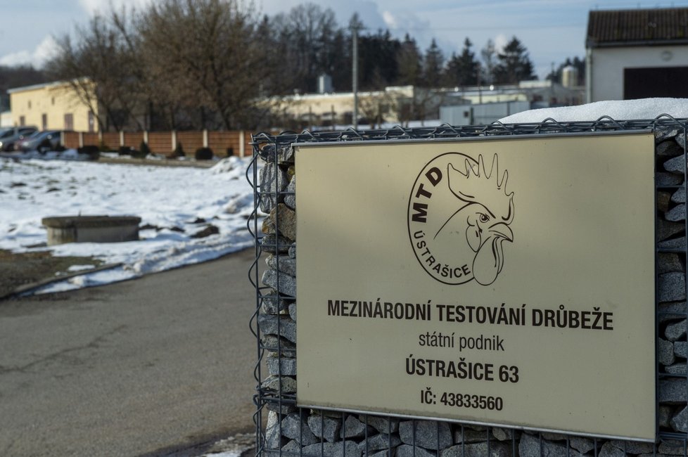 Areál státního podniku Mezinárodní testování drůbeže (MTD) v obci Ústrašice na Táborsku. Patří mezi velké chovy drůbeže, které veterináři prověří kvůli nálezu ptačí chřipky v nedaleké Dlouhé Lhotě (25. 1. 2021).