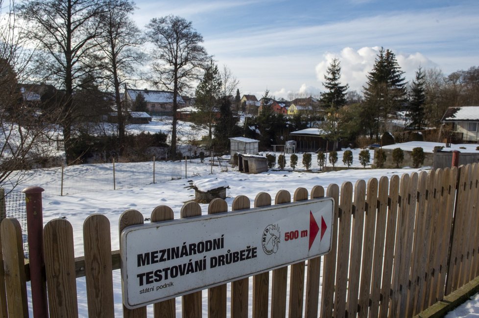 Areál státního podniku Mezinárodní testování drůbeže (MTD) v obci Ústrašice na Táborsku. Patří mezi velké chovy drůbeže, které veterináři prověří kvůli nálezu ptačí chřipky v nedaleké Dlouhé Lhotě. (25. 1. 2021)