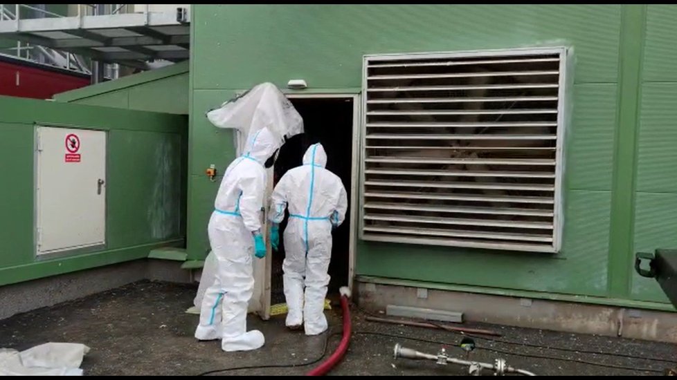 Veterináři potvrdili výskyt ptačí chřipky v Benicích u Prahy. (ilustrační foto)