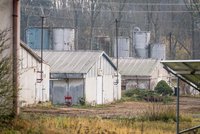 Nebezpečná nákaza na dalším místě v Česku: Ptačí chřipku objevili v chovu z Litomyšle