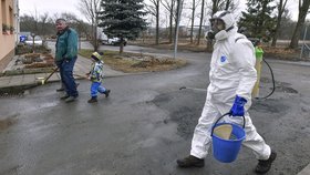 Pracovníci specializované firmy zahájili 17. února 2017 v Ivančicích na Brněnsku dezinfekci chovných zařízení, v nichž byla utracena drůbež kvůli ptačí chřipce.
