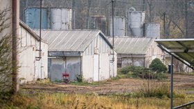 Velkochov kachen ve Valdíkově na Třebíčsku, kde se objevila ptačí chřipka (11.11.2025)