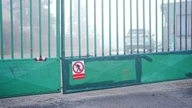 Velkochov kachen ve Valdíkově na Třebíčsku, kde se objevila ptačí chřipka (11.11.2025)