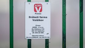 Velkochov kachen ve Valdíkově na Třebíčsku, kde se objevila ptačí chřipka (11.11.2025)