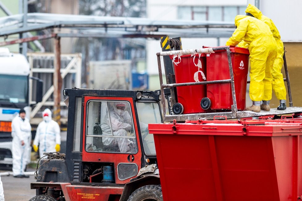 Vybíjení ptactva na Litoměřicku kvůli ptačí chřipce (28.12.2021)