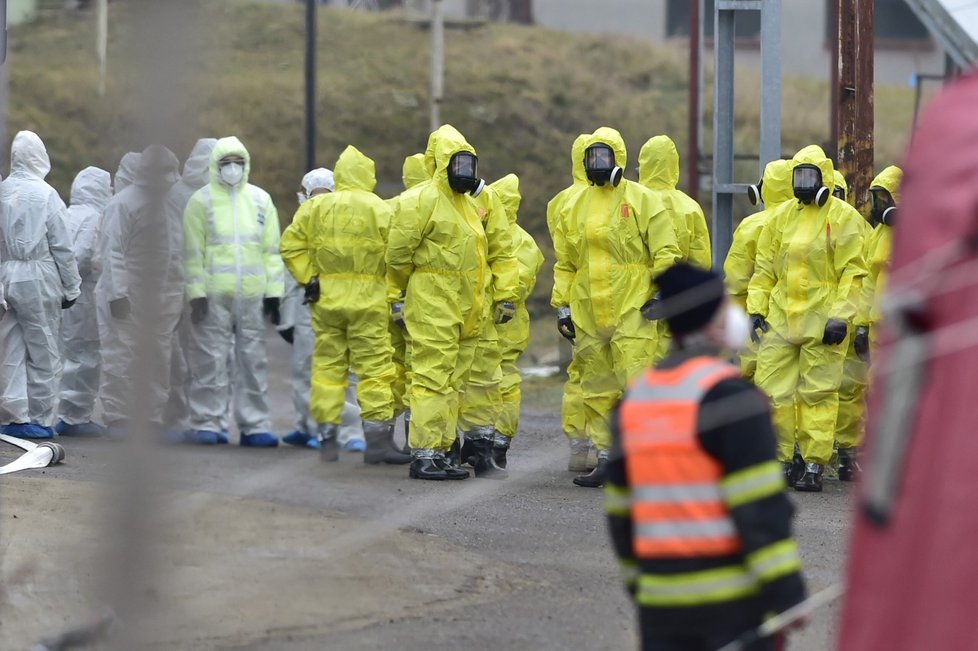 Vybíjení ptactva na Litoměřicku kvůli ptačí chřipce (28.12.2021)