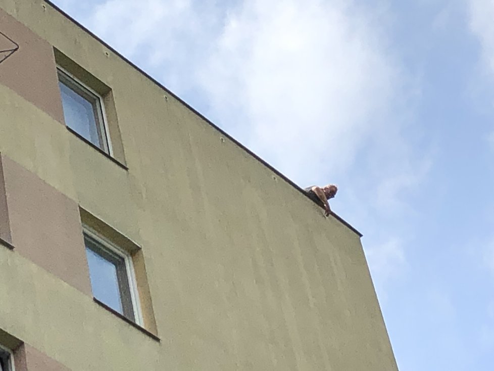V pražských Bohnicích opravují větrací otvory ve fasádě jednoho z paneláků. Hnízdí tu ale rorýsi. Inspektoři životního prostředí nařídili práce zastavit a otvory pro chráněné ptáky zpřístupnit