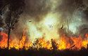 Na severu Austrálie se požáry objevují v průběhu celého roku, každoročně tu shoří až 50 % vegetace