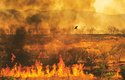 Na severu Austrálie se požáry objevují v průběhu celého roku, každoročně tu shoří až 50 % vegetace