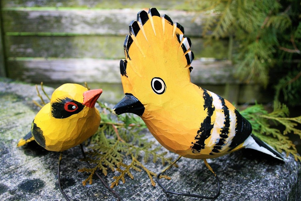 Nejkrásnější tance lásky předvádějí mnozí ptáci