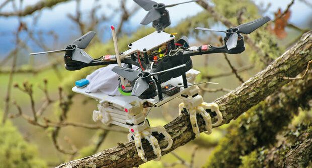 Ptákodron: První dron s ptačími pařáty