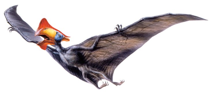 Ptakoještěři žili před 230 až 66 miliony lety a byli to vůbec první obratlovci, kteří ovládli aktivní let