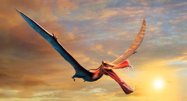 Skutečný pravěký drak: Nový ptakoještěr měl 40 ostrých zubů