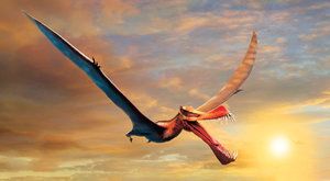 Skutečný pravěký drak: Nový ptakoještěr měl 40 ostrých zubů