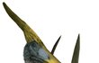 PTEROSAURUS