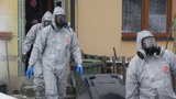 Ptačí apokalypsa: Veterináři utratili na jihu Moravy přes 6 tisíc kusů drůbeže, nová ohniska nenašli