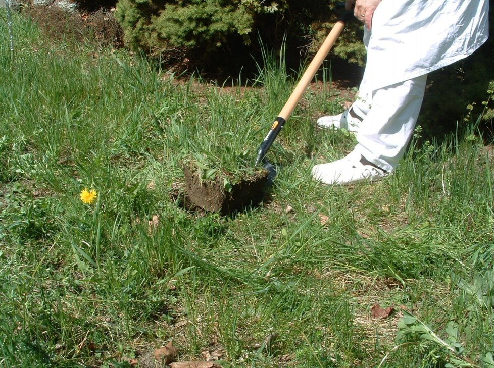 Ukázka odebírání vzorků a zjišťování přítomnosti látek v půdě