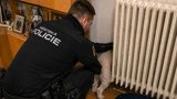 Z bytu v Brně se ozývalo hrůzostrašné kňučení: Pudl uvízl za topením