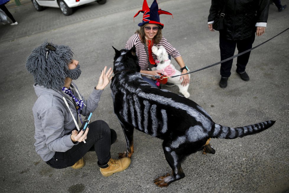 Oslavy nejveselejšího židovského svátku Purim