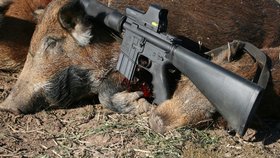 Někteří s AR-15 loví, jiným nepřijde vhodná.