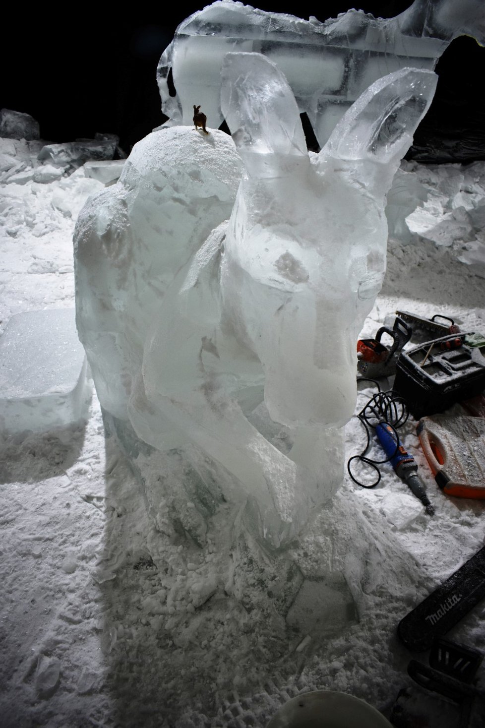 Letošní ročík festivalu ledových soch na Pustevnách se nese v duchu Noemovy archy.
