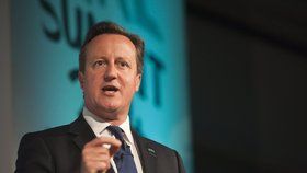 „Jestliže nedostanu, co chci, pak nic nevylučuji,“ řekl Cameron televizní stanici BBC na otázku, zda je připraven vést Británii pryč z Unie.